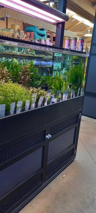 Fleuriste botanic® Saint Genest Lerpt 0