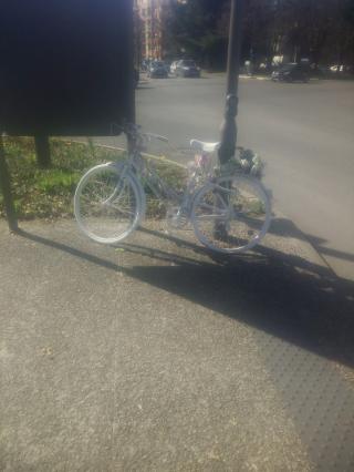 Fleuriste Côté Fleuri | Fleuriste Pau 0