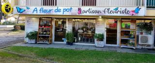 Fleuriste A Fleur De Pot 0