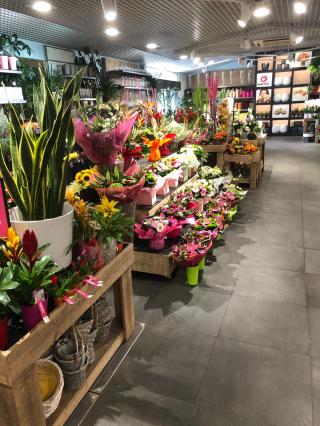 Fleuriste OPENFLOR Lambersart 0
