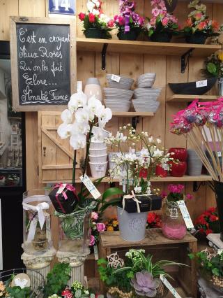 Fleuriste FLEURS ANATOLE 0