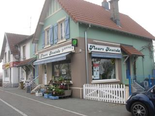 Fleuriste FLEURS ANATOLE 0