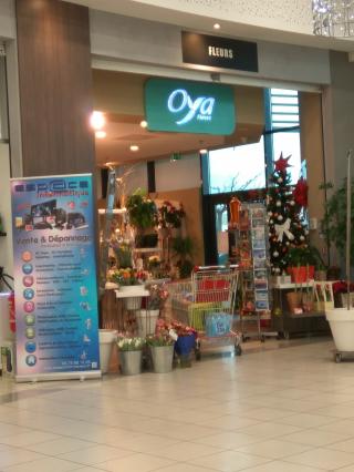 Fleuriste si fleurette 0