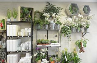 Fleuriste Les Fleurs d'Uzès 2