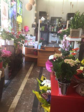 Fleuriste Dany fleurs Gotte Carole 0