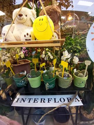 Fleuriste Gisèle Fleurs 0