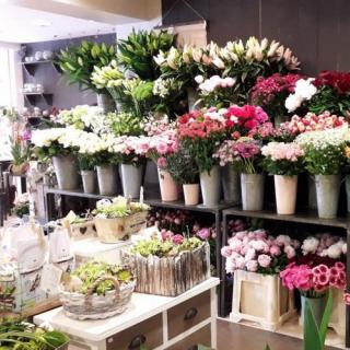 Fleuriste Au Comptoir des Fleurs, Artisan Fleuriste Gaillac 0