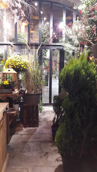 Fleuriste Stéphane Chanteloube Fleuriste 1