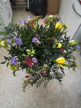 Fleuriste France Fleurs Douai 0