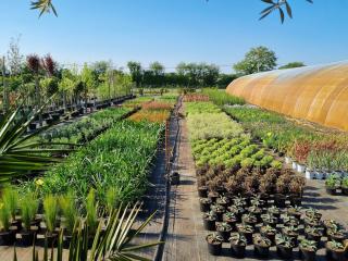 Fleuriste Pepinieres Du Littoral 1