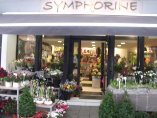 Fleuriste Fleuriste Saint-Brieuc - Symphorine 0
