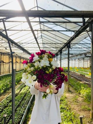 Fleuriste Brin d'Herbe - Les Fleurs de la Baie 0