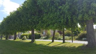 Fleuriste Au Pau'Fleuri 0