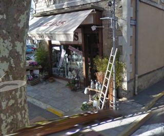 Fleuriste Fleurs Myosotls 1