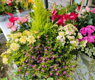 Fleuriste Jean Marc SELIG Artisan Fleuriste 0