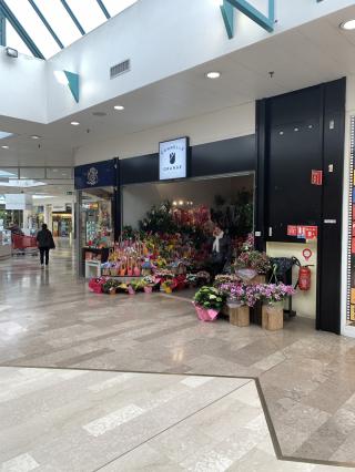 Fleuriste Cannelle Orange 0