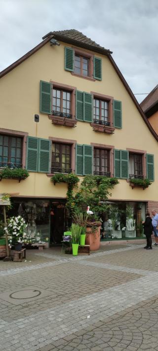 Fleuriste Ribeau-Fleurs nadelhoffer 1