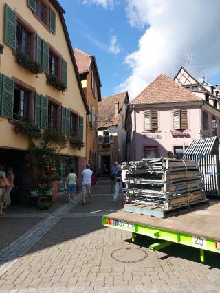 Fleuriste Ribeau-Fleurs nadelhoffer 0