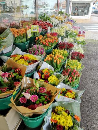 Fleuriste Le Jardin des Fleurs 0