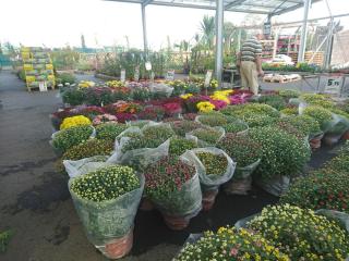 Fleuriste E.Leclerc Jardi 2