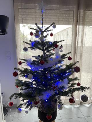 Fleuriste AU BOIS FLEURY 1