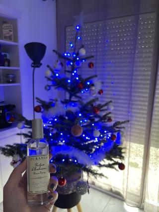 Fleuriste AU BOIS FLEURY 2