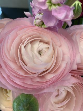 Fleuriste LE H FLEURISTE 1