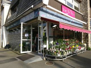 Fleuriste Blanc Bleu Rêve 0