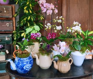 Fleuriste Petits Bouquets Entre Amis 0