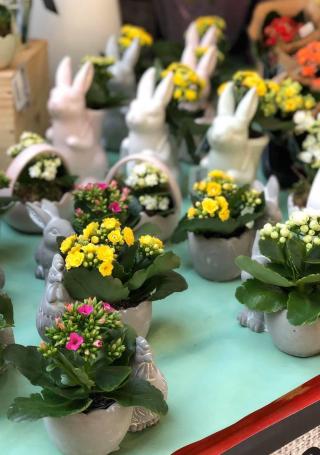 Fleuriste Le Jardin des Fontenelles 0