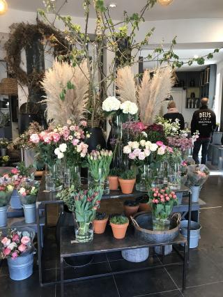 Fleuriste A LA PENSEE, BAES 0