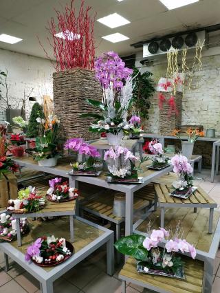 Fleuriste Interblumex 0