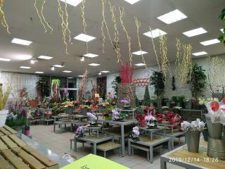 Fleuriste Interblumex 0