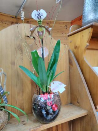 Fleuriste AU CLOS FLEURI 0