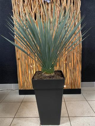 Fleuriste Stéphane - Atelier du Fleuriste 0