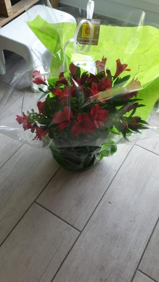 Fleuriste L'Ile aux Fleurs 0