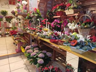 Fleuriste Le Florum 2