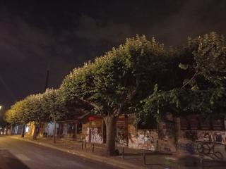 Fleuriste Julie Fl'or 0