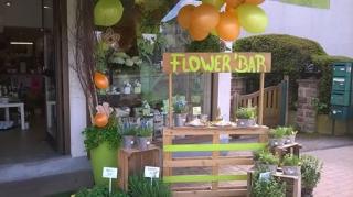 Fleuriste Vert Tige l'atelier floral 0