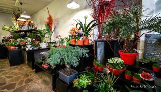 Fleuriste Black Baccara - La Paillotte 1