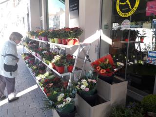 Fleuriste Le Jardin des Fleurs 0