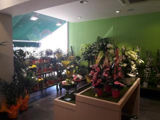 Fleuriste Le Jardin des Fleurs 0