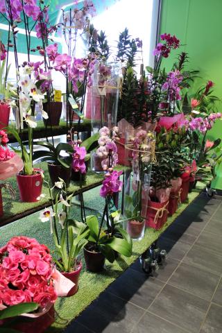 Fleuriste Le Jardin des Fleurs 0