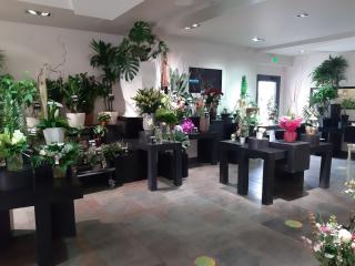 Fleuriste Fleurs Ô Naturel 1