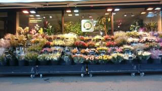 Fleuriste Fleurs Ô Naturel 0