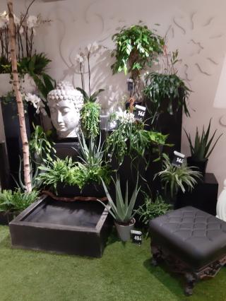 Fleuriste Fleurs Ô Naturel 0