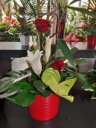 Fleuriste Fleurs Ô Naturel 0