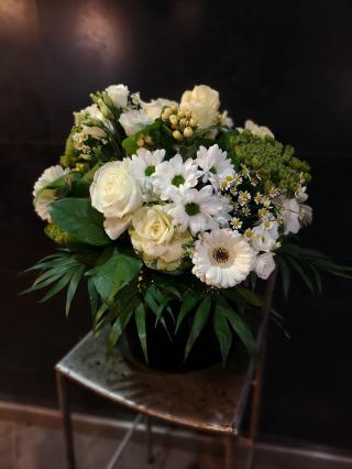 Fleuriste Orchidée fleurs / évents 0