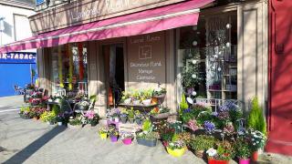 Fleuriste Lancrel Fleurs - Fleuriste Alençon 0