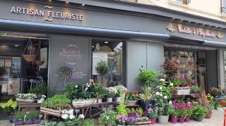 Fleuriste Violette Et Pimprenelle 0